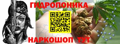 дмт Рязань